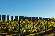Los Milics Recognized as Top 2 U.S. Wine Tasting Room by USA Today