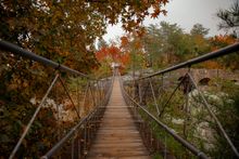 Rock City Fall Colors