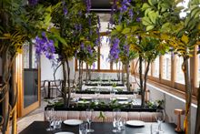 Cassia in Fremantle