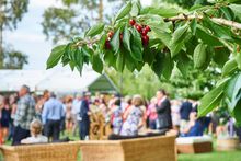 Manjimup Cherry Harmony Festival