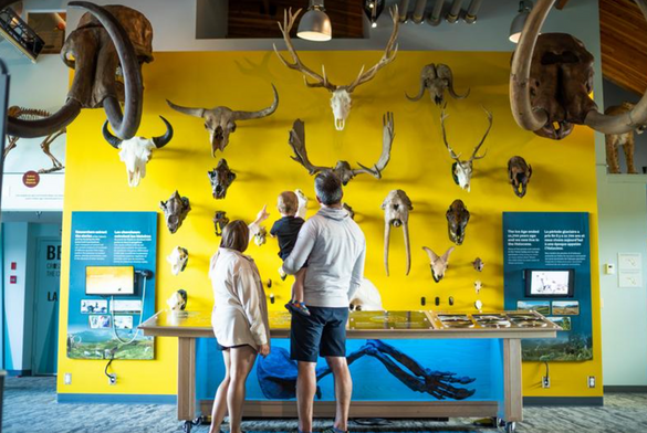 Beringia Interpretive Centre Beringia Interpretive Centre