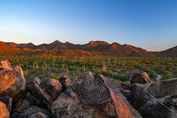 What's New in Arizona 2025 What's New in Arizona 2025