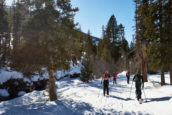 Cross country skiers will find plenty of scenic trails near the East Gate to Yellowstone National Park. Cross country skiers will find plenty of scenic trails near the East Gate to Yellowstone National Park.