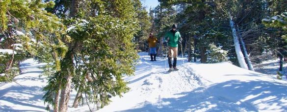 Head to nearby Rock Mountain National Park for a fun winter adventure Head to nearby Rock Mountain National Park for a fun winter adventure