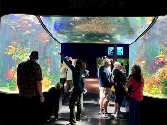 The Daytona Aquarium & Rainforest Adventure, the destination's first aquarium offering, will open phase two with an indoor rainforest in 2025. The Daytona Aquarium & Rainforest Adventure, the destination's first aquarium offering, will open phase two with an indoor rainforest in 2025.