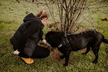 Margaret River Truffle Farm new tours