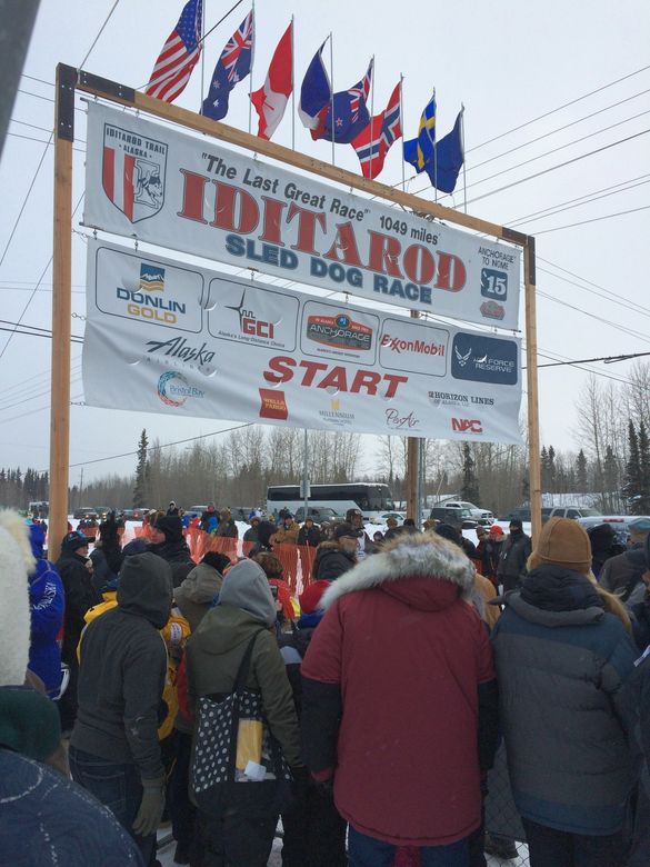 Start of the 2015 Iditarod in Fairbanks, Alaska Start of the 2015 Iditarod in Fairbanks, Alaska