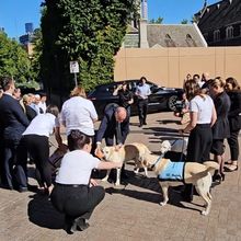 Charlie's Welcome with Guide Dogs