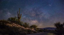 Saguaro at Night on Mt. Lemmon