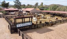 Arizona Dude Ranch - Rancho de los Caballeros