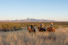 Arizona Dude Ranch - Rancho De La Osa