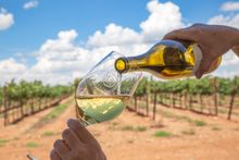 A Southern Arizona Winery Receives Three Coveted Awards from 2025 San Francisco Chronicle Wine Competition