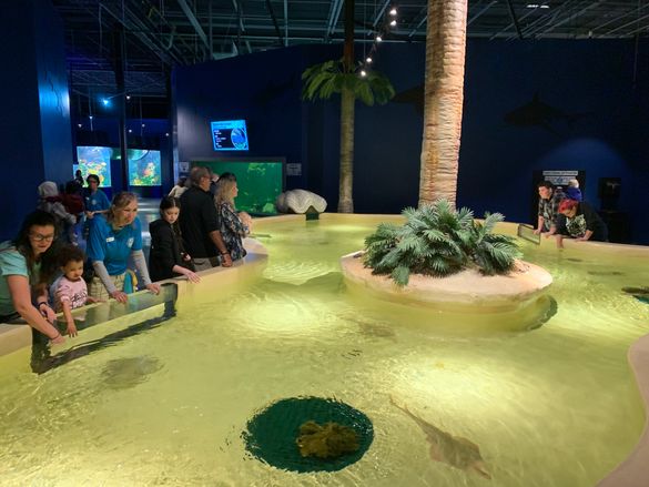 The Daytona Aquarium & Rainforest Adventure will open the Rainforest portion of the attraction this summer. The Daytona Aquarium & Rainforest Adventure will open the Rainforest portion of the attraction this summer.