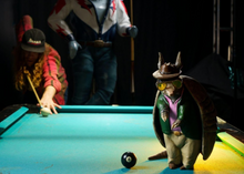 Meow Wolf Houston - Radio Tave's Cowboix Hevvven
