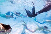 California Mermaid Convention
