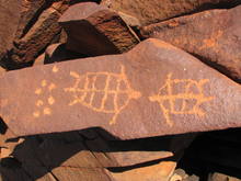 Turtles with eggs laid at Murujuga