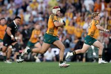 Bledisloe Cup. Image via Rugby Australia.