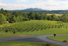 Virginia Wine Country