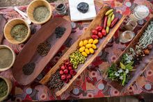 Dale Tilbrook Experiences, Swan Valley, WA