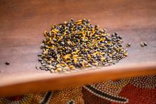 Wattleseed, Dale Tilbrook Experiences, Swan Valley, WA
