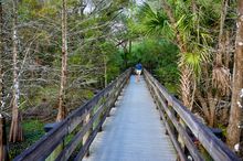 Nature trails at Six Mile Cypress Slough Preserve