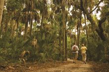 Exploring Koreshan State Park