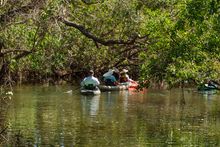 Paddling trails at Koreshan State Park