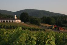 Barboursville Vineyards