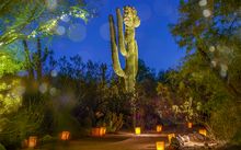Las Noches de las Luminarias at the Desert Botanical Garden
