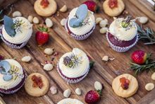 Saltwater Eco Tours, Mooloolaba, Queensland