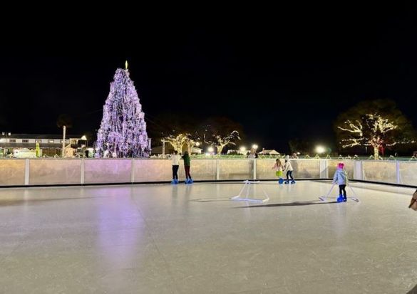 Ice skating in Florida! Ancient City Farmstead Christmas Experiences creates a magical holiday atmosphere with Ice Skating, a gigantic Christmas Tree, Reindeer Games and More.