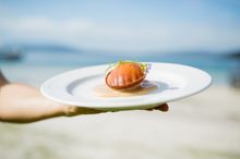 Taste Great Southern.