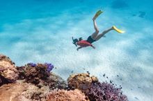 Essence of Ningaloo - Exmouth Adventure Co - Snorkelling
