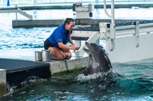 Clearwater Marine Aquarium