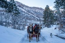 Sleigh Rides at Bear's Ranch