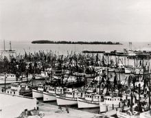 Shrimp boats crowd the docks at what is now the Key West Bight in this historic photo, reflecting the era known as the Florida Keys’ “pink gold rush.” The shrimping boom helped shape Key West’s waterfront and food culture and is featured in the new Celebr