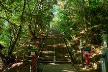 Mt Takao