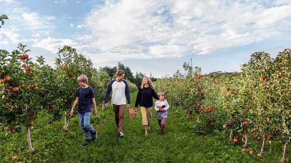 Shields Orchard, Bilpin Shields Orchard, Bilpin