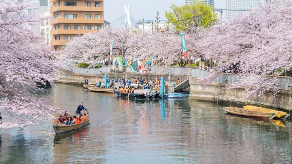 Oedo Fukagawa Sakura Festival 1 Oedo Fukagawa Sakura Festival 1