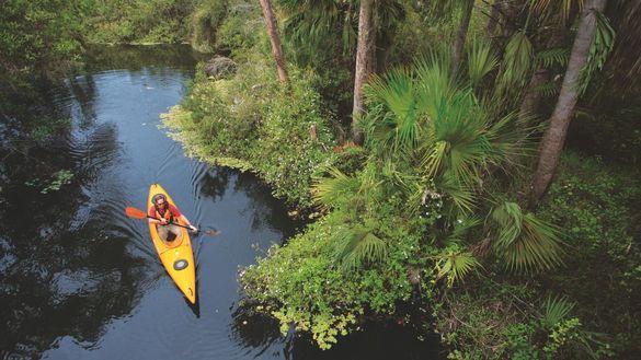 The Great Calusa Blueway has nearly 200 miles of paddling trails
